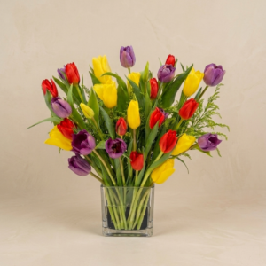 Bunga Meja Tulip