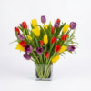 Bunga Meja Tulip