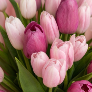 Buket Bunga Tulip