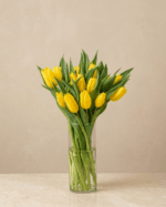 Bunga Meja Tulip