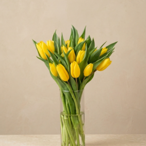 Bunga Meja Tulip