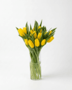 Bunga Meja Tulip