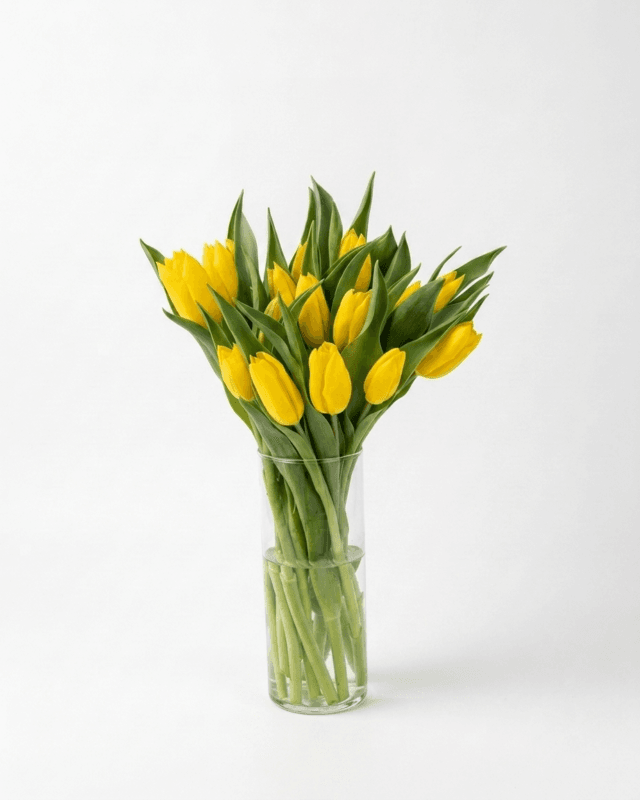 Bunga Meja Tulip