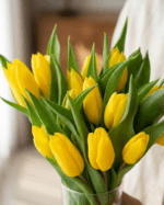 Bunga Meja Tulip