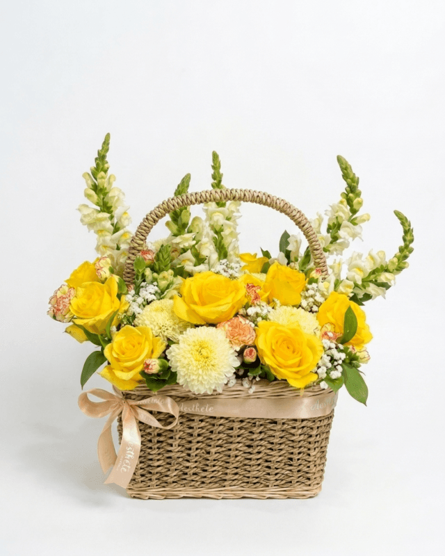 Basket Flower