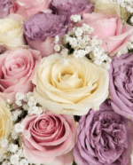 Vintage Velvet Elegance - Image 3